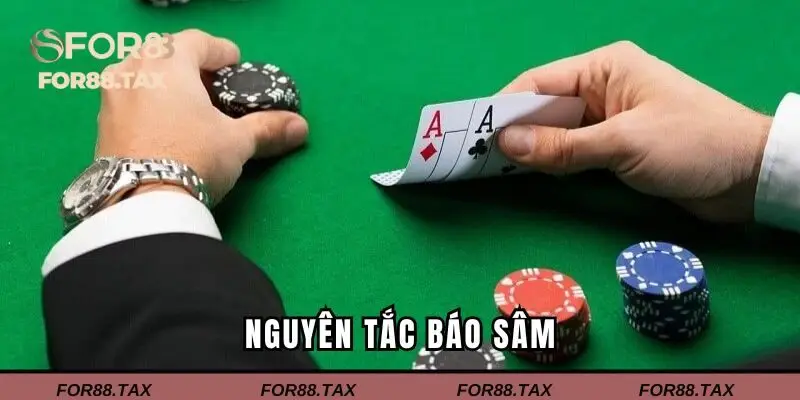 Một số nguyên tắc báo sâm